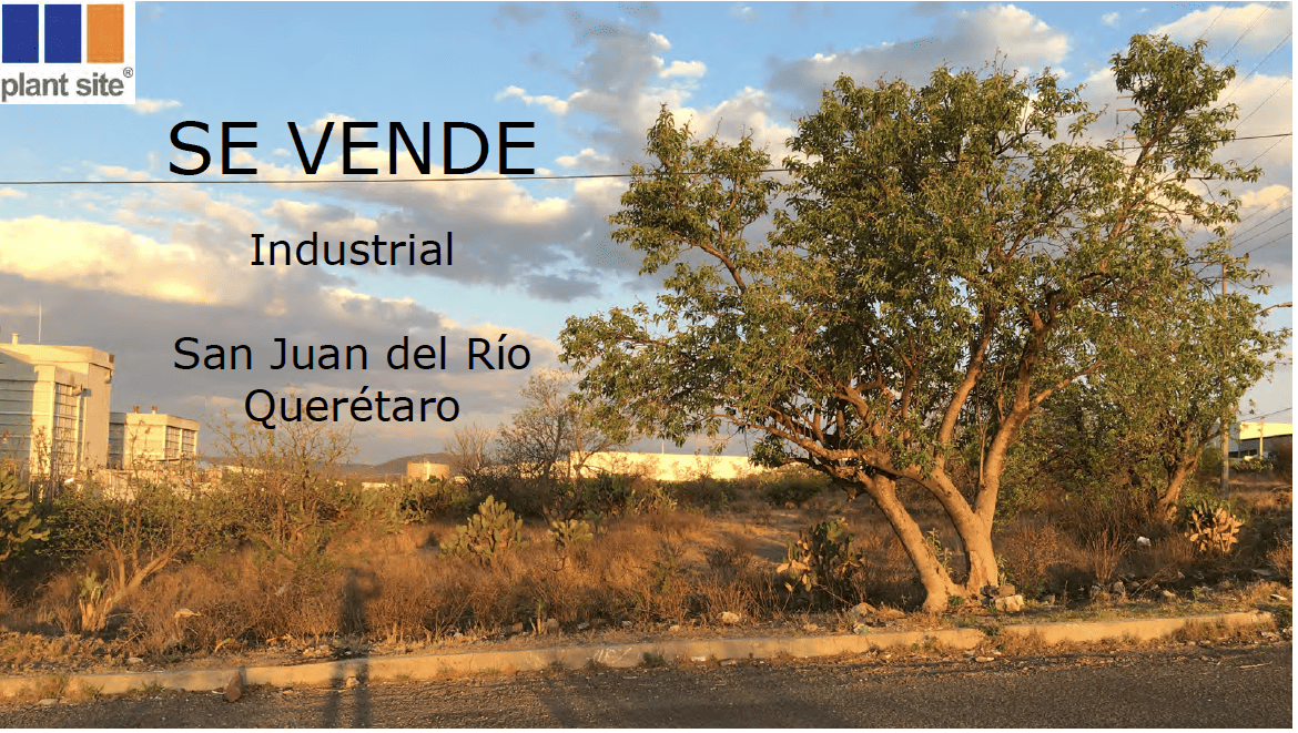 Imagen 6